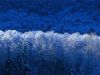sample_230.jpg